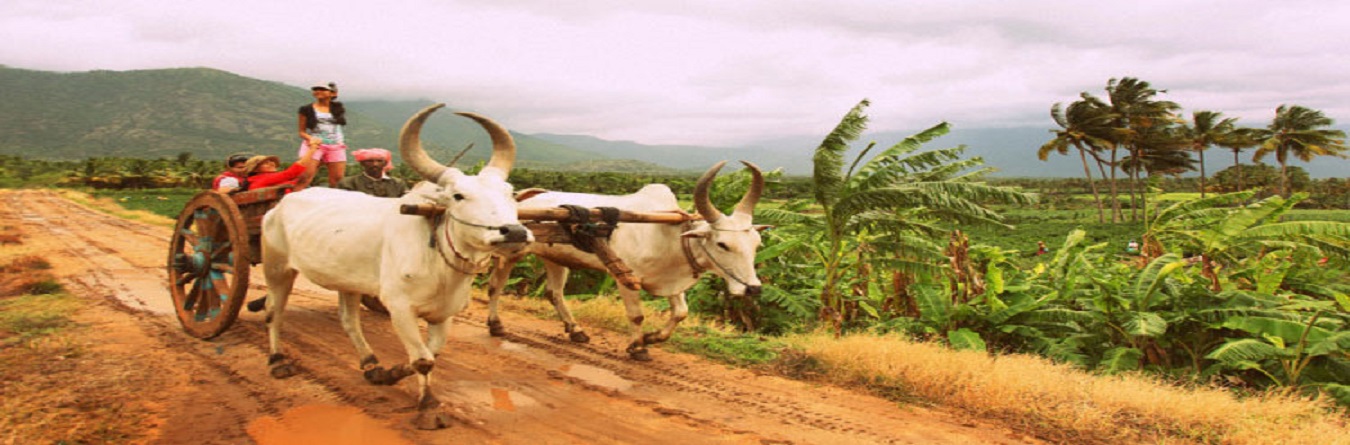 agro