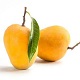 This is the thumbnail of the item