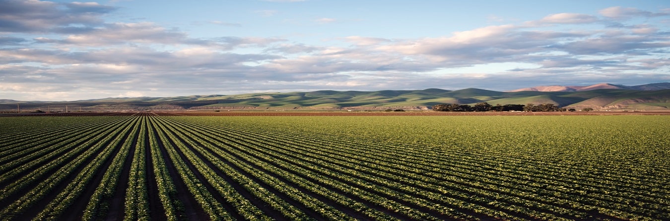 Farm_Layout