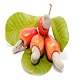 This is the thumbnail of the item
