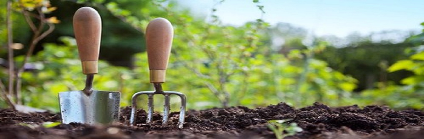 Hort_Management