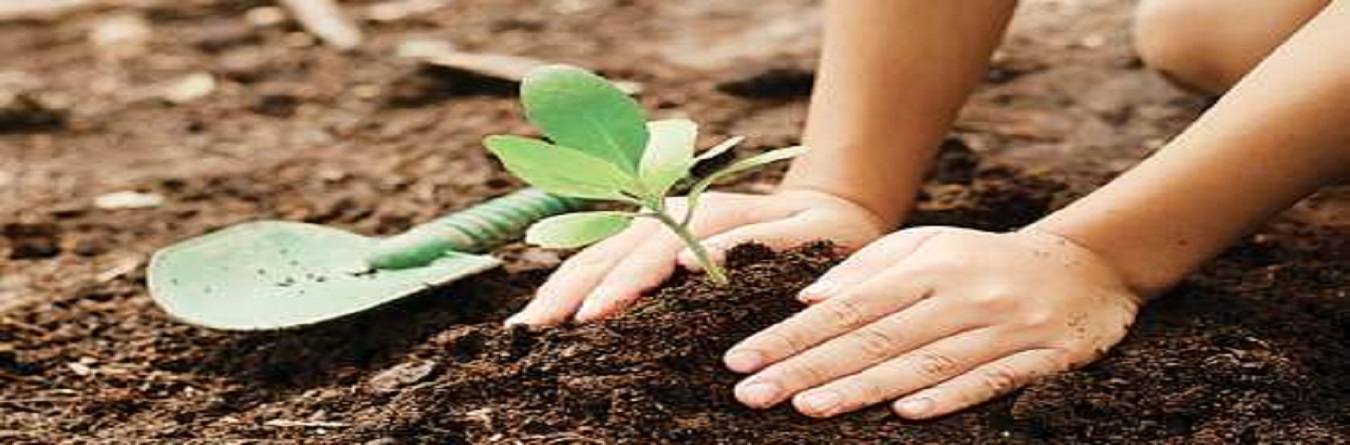 Planting