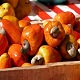 This is the thumbnail of the item